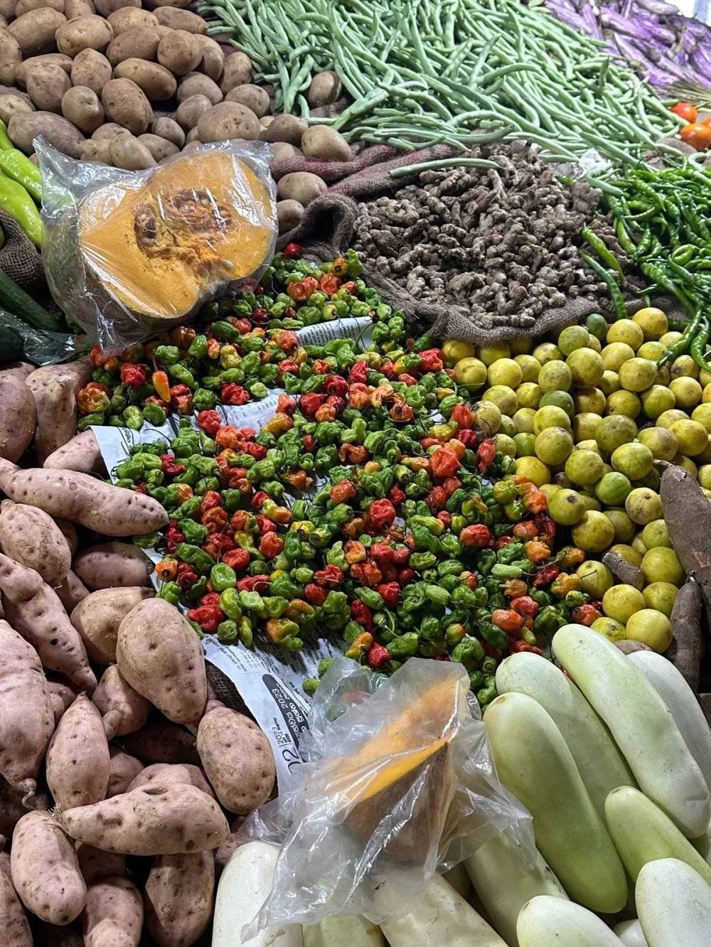 最近去斯里兰卡的人，钱包差点被掏空- 综合新闻- 加拿大新闻- 约克论坛